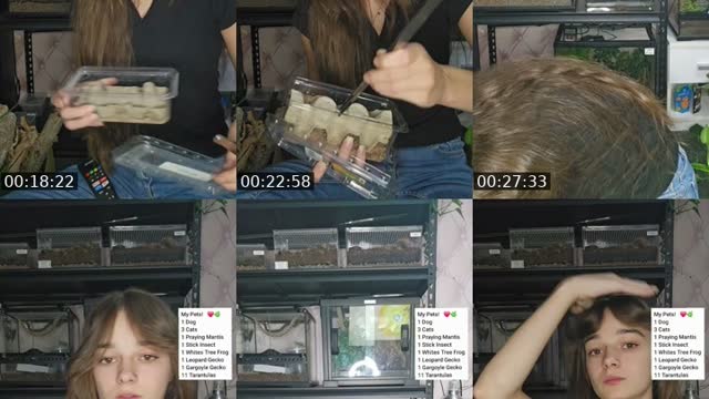 TikTok live: WARNING EXOTIC PETS-(I'm 19) by @skys.animal.zoo