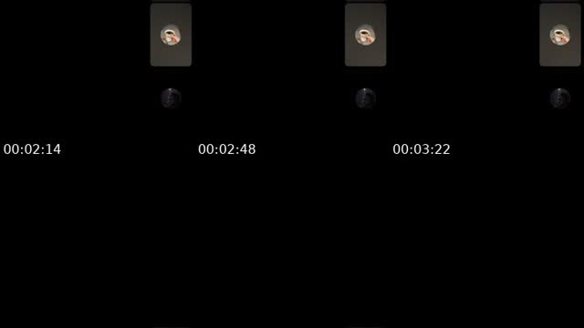 @z5080344 TikTok live