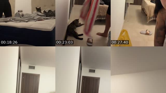 @cristimdd Mexico TikTok live from 2026-08-23