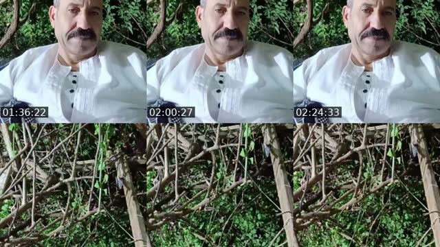 @arfatradwan TikTok live