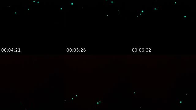 @511111hhh TikTok live