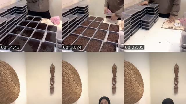 @zafie.fr TikTok live