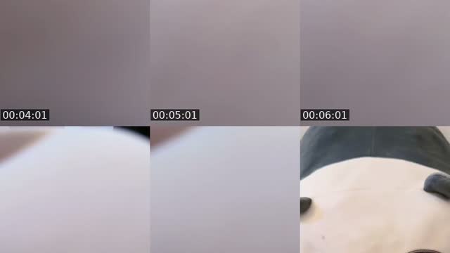 @loisaramadhani_real TikTok live from 2026-08-24