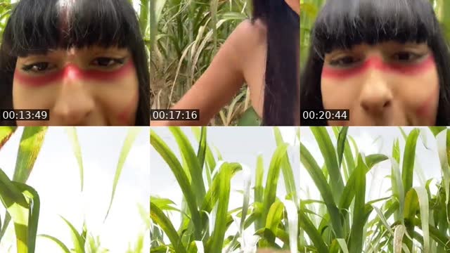 Mexico TikTok live: Selva by @mavis_indiazinha