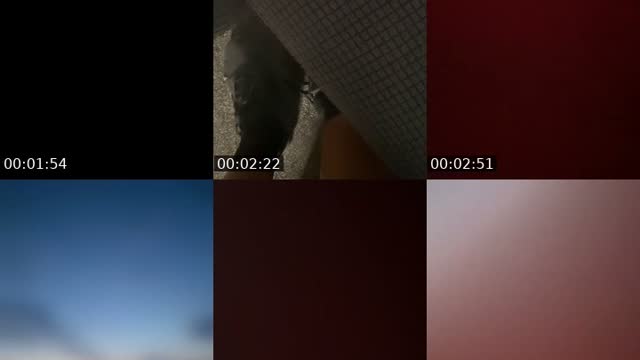 @fin41520 TikTok live from 2026-08-24