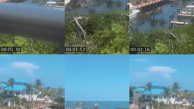 @miagomez1026 TikTok live