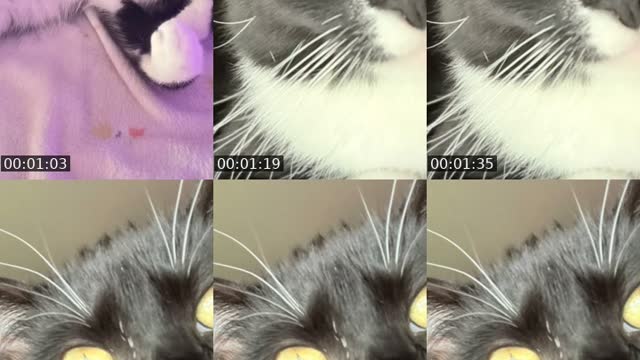 @lilliannna.her.she TikTok live