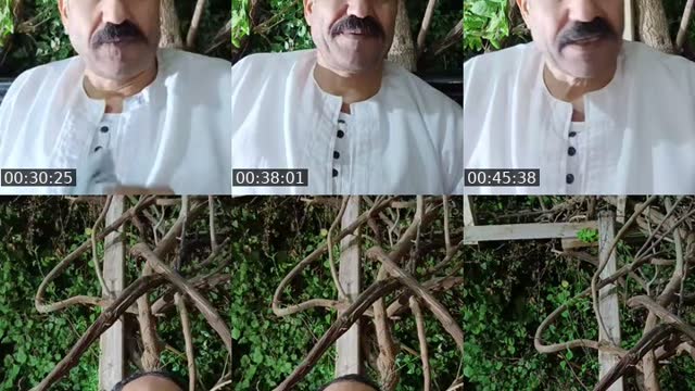 @arfatradwan TikTok live