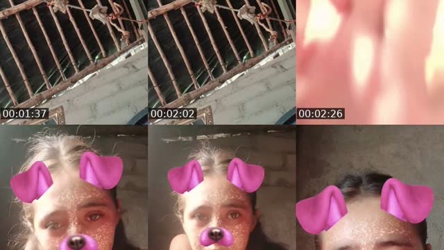 vien venidos ami live sipotes .. - @tiago.0751