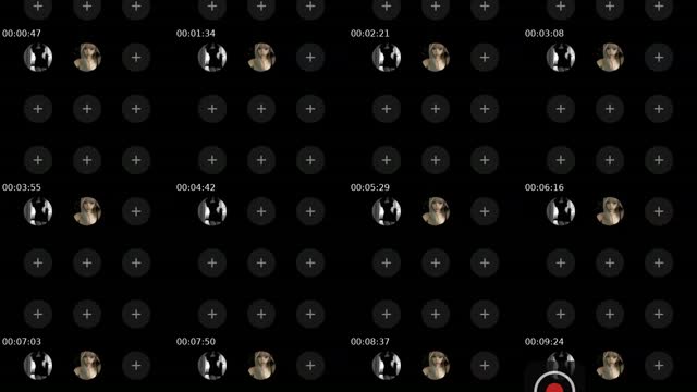 @alunahyper1 TikTok live from 2026-08-25