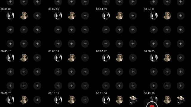 @alunahyper1 TikTok live from 2026-08-25