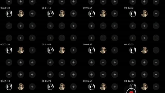 @alunahyper1 TikTok live