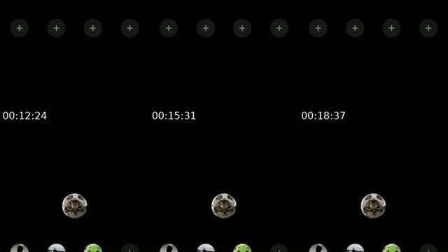 @vivivi_0_ TikTok live from 2026-08-25