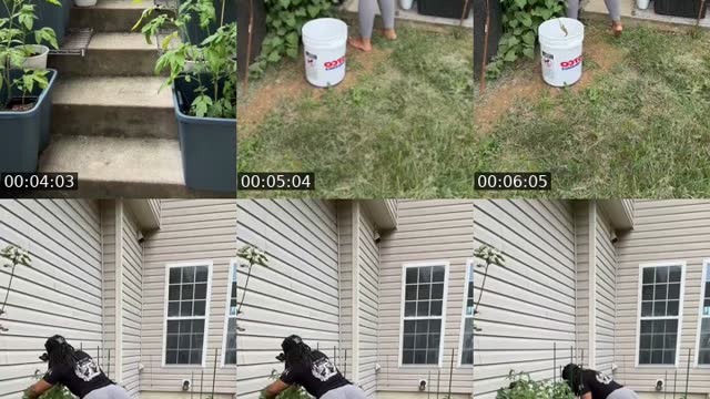 Get paid to garden - @theeunicornriah