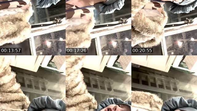 @f_u_y0_ TikTok live from 2026-08-25