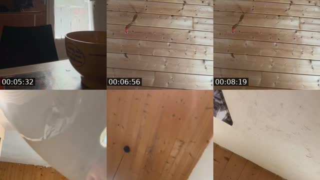 @jujulunique TikTok live from 2026-08-25