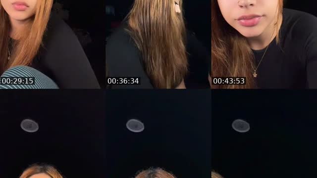 @elliana.villarreal TikTok live from 2026-08-25