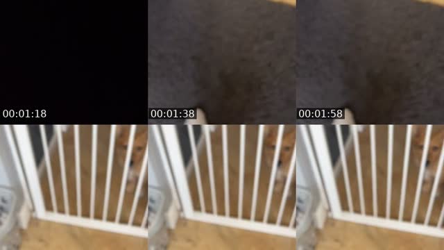 @jota4life TikTok live