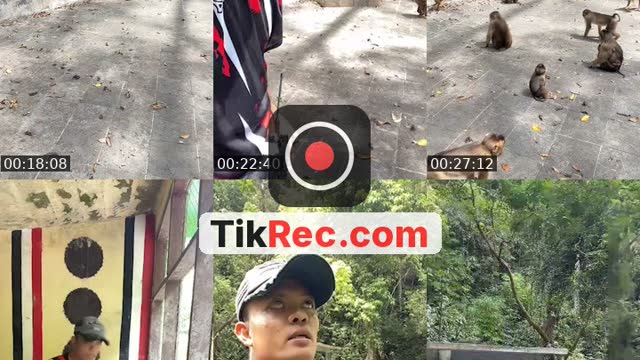 @detimmanik8 TikTok live from 2026-08-26