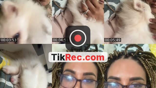 @maryifyp TikTok live from 2026-08-26