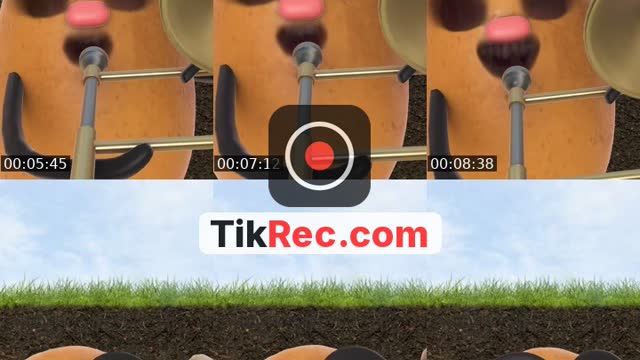 @sualalop TikTok live