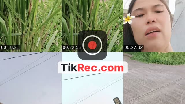 @gela001 TikTok live from 2026-08-26
