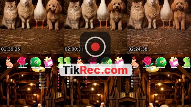TikTok live: Quem Dança Melhor? 🚜💨 by @wezlen.goncalves