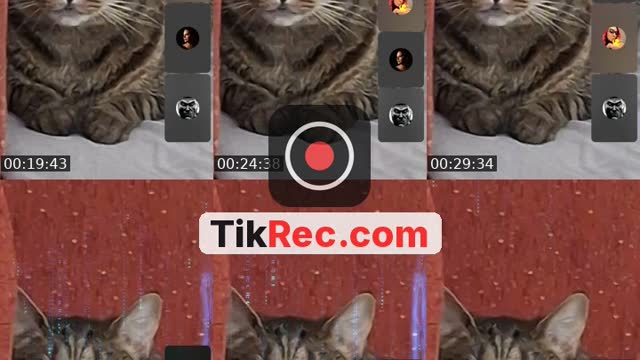 @eurekaeurek TikTok live from 2026-08-25