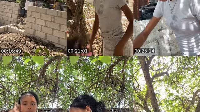 @esteisisantana3 TikTok live from 2026-08-25