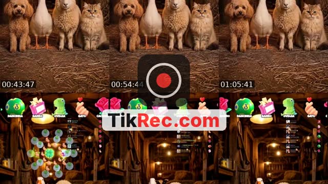 TikTok live: Quem Dança Melhor? 🚜💨 by @wezlen.goncalves