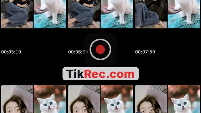 @beranibangkit201 TikTok live