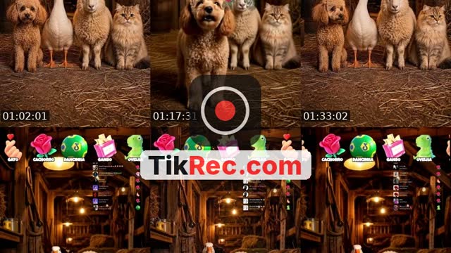 TikTok live: Quem Dança Melhor? 🚜💨 by @wezlen.goncalves