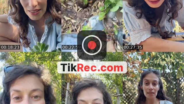 @allieostudio TikTok live from 2026-08-25