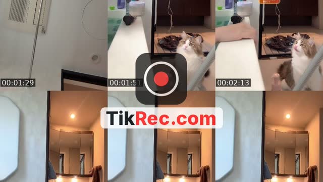 @himeno801 TikTok live