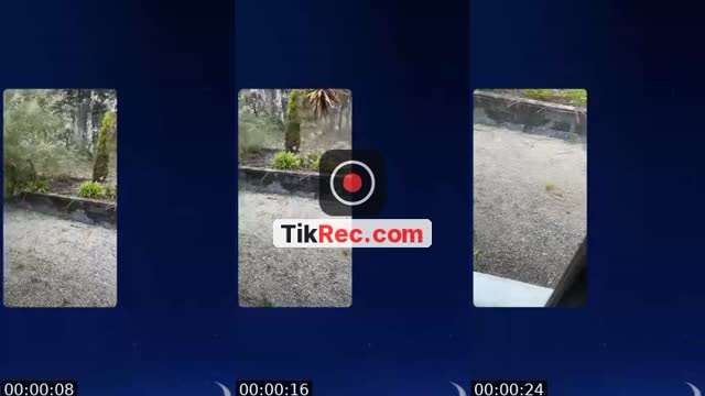 @chaiwithhoneyy TikTok live