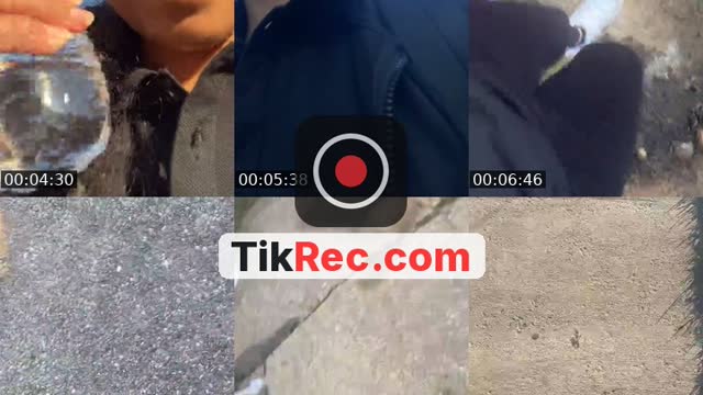 @xequ02 TikTok live from 2026-08-26