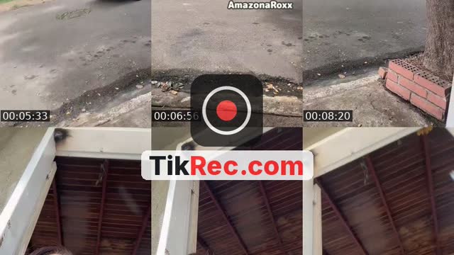 @venusroxxi TikTok live from 2026-08-26
