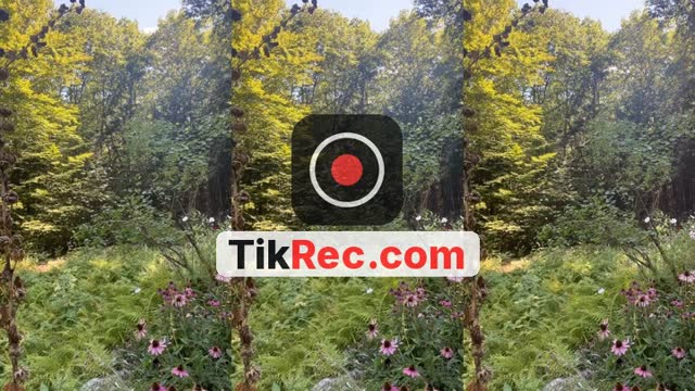 @maiaomglol2 TikTok live from 2026-08-26