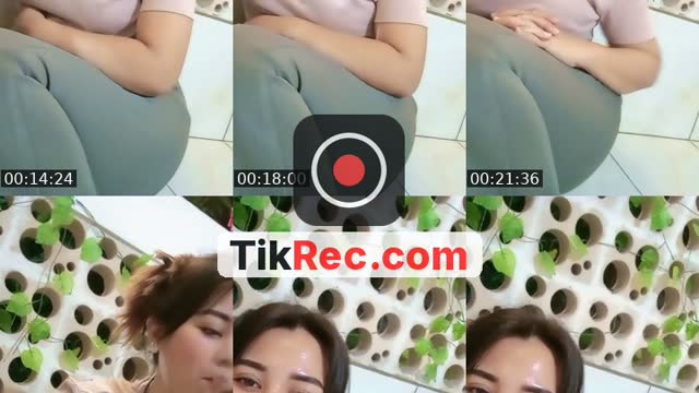 @puchetau1 TikTok live from 2026-08-26