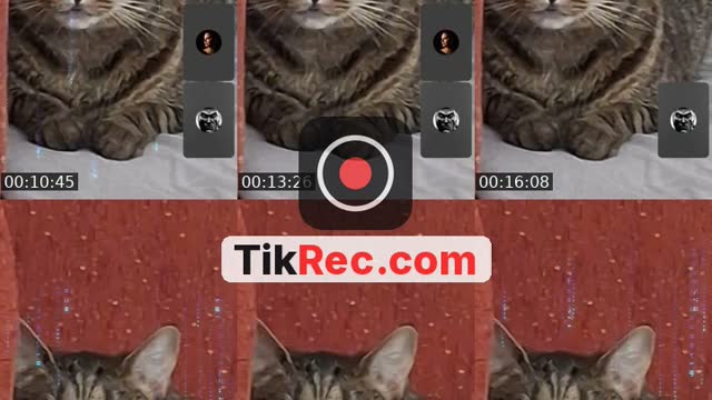 @eurekaeurek TikTok live from 2026-08-26