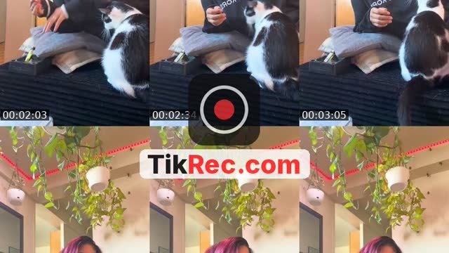 @samoas52 TikTok live from 2026-08-26