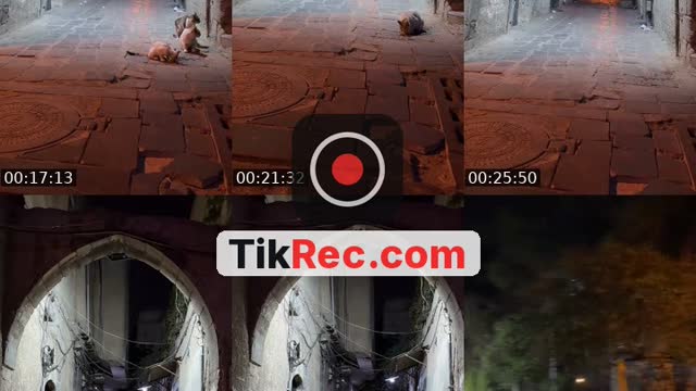 TikTok live: من دمشق 🤍 by @damascus2024.12