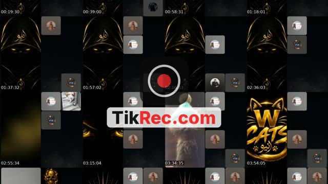 TikTok live: Na3m, na3m by @neoinmotionuk