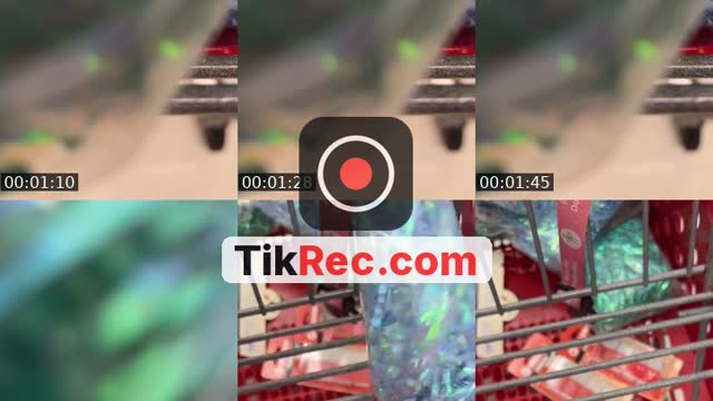 @fundude039 TikTok live from 2026-08-27
