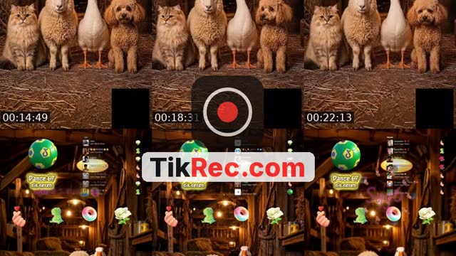 TikTok live: Qual Melhor Interação? 🚜💨 by @wezlen.goncalves