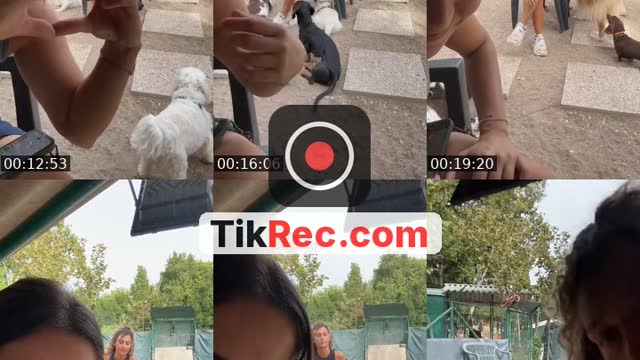 @asilovicodog TikTok live from 2026-08-27