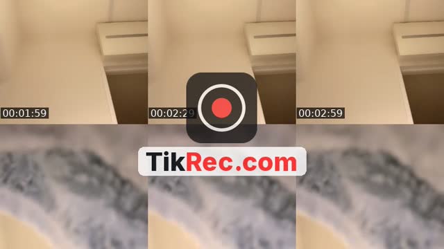 @negitorodon2 TikTok live