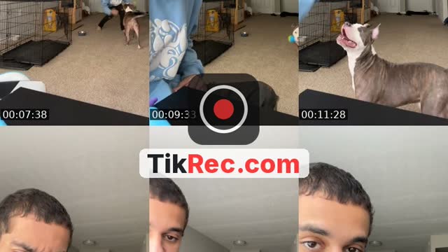 TikTok live: FYP W BLUE ! by @bigboybluesadventures
