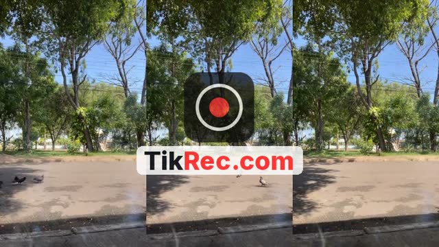 TikTok live: T3l3: @Roxitax by @venusroxxi