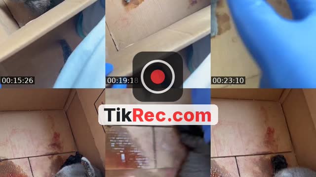 @ootzx_m TikTok live